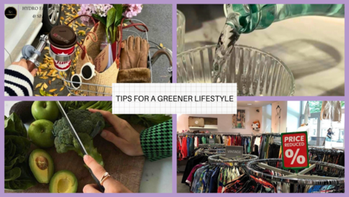Sustainable Living: Practical Tips for a Greener Lifestyle