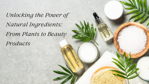 The Power of Natural Ingredients: From Seed to Skincare