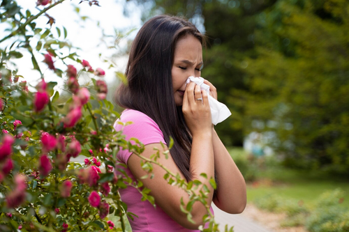 Spring Allergy Relief Strategies